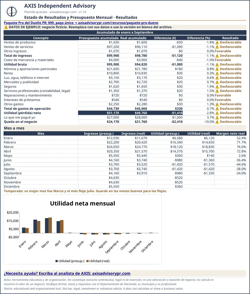Example sheet of the Income Statement (P&L) & Budget (Estado de Resultados y Presupuesto Mensual), with fictitious data.
